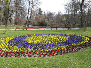 Frühjahrsbepflanzung 2019